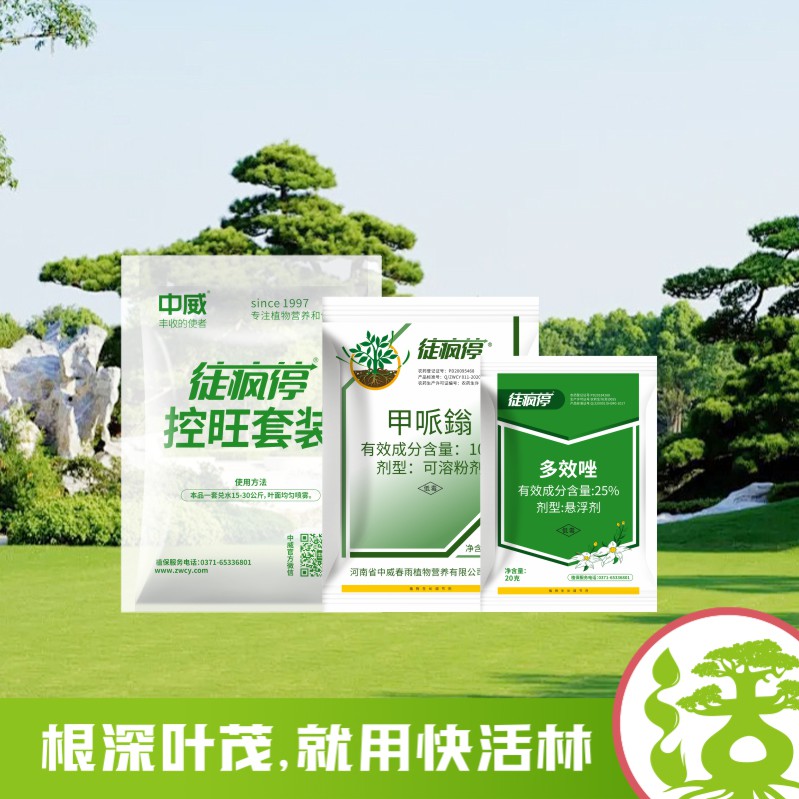 徒瘋?？赝籽b