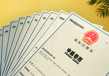 百余項(xiàng)證件專(zhuān)利商標(biāo)等知識(shí)產(chǎn)權(quán)保護(hù)