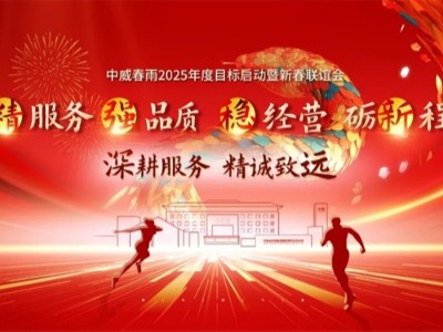 深耕服務(wù) 精誠致遠(yuǎn) | 中威春雨2025年度目標(biāo)啟動暨新春聯(lián)誼會圓滿落幕